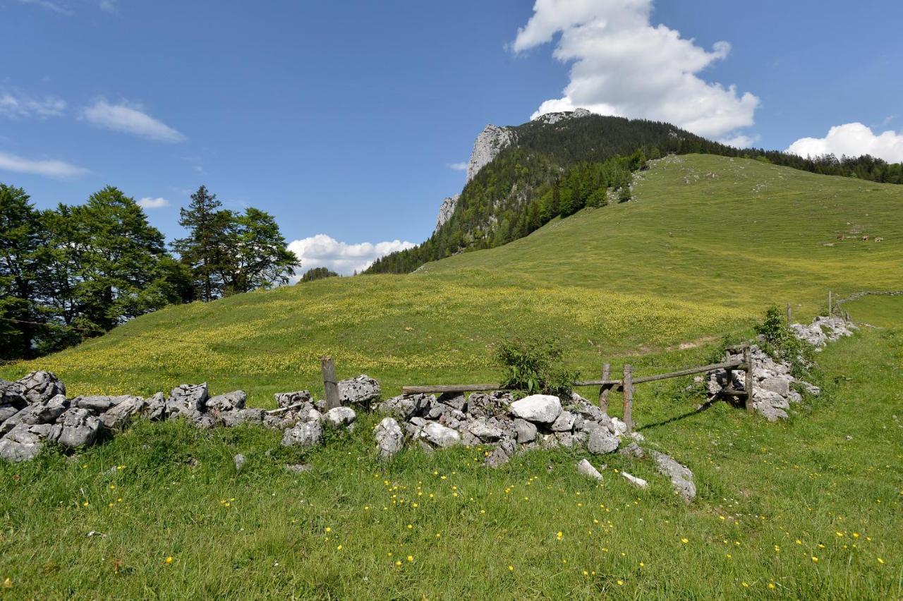 Ritzau Alm Hotell Ebbs Eksteriør bilde