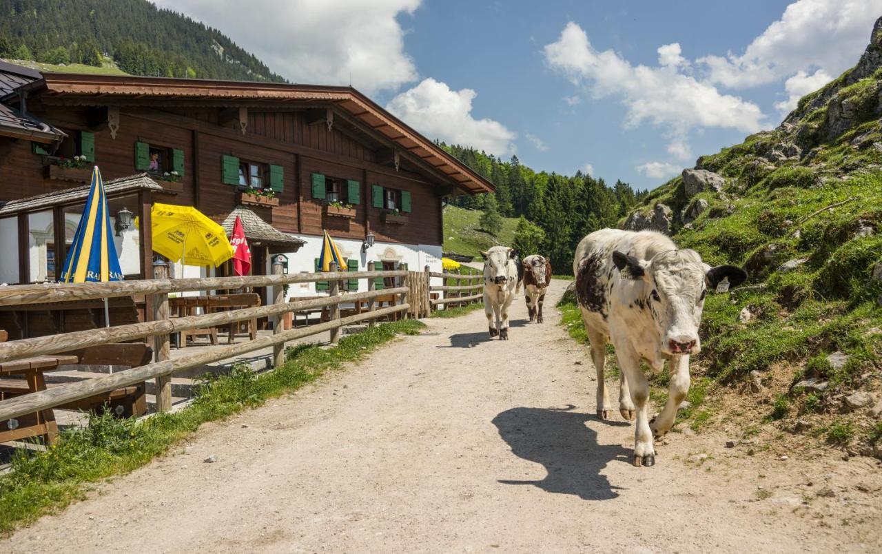 Ritzau Alm Hotell Ebbs Eksteriør bilde